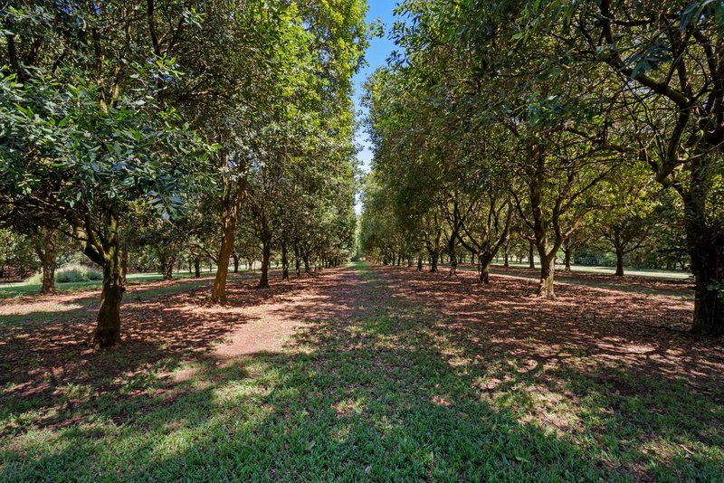 Photo - 347 Goremans Road, Eureka NSW 2480 - Image 20