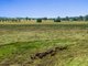 Photo - 347 Summerland Way, Kilgra NSW 2474 - Image 4