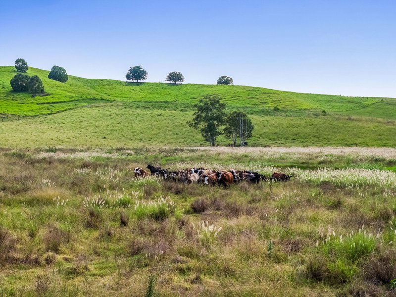 Photo - 347 Summerland Way, Kilgra NSW 2474 - Image 13