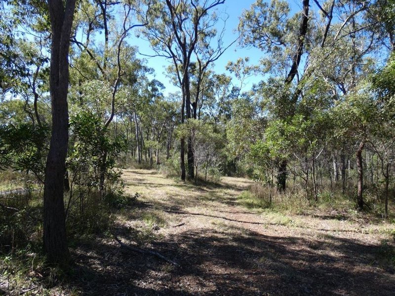 Photo - 348 Whytallabah Road, Euleilah QLD 4674 - Image 22