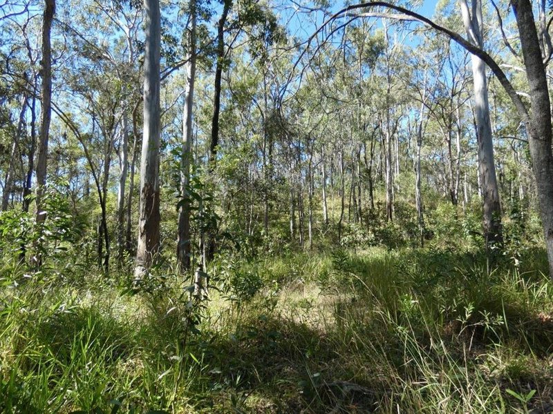 Photo - 348 Whytallabah Road, Euleilah QLD 4674 - Image 24