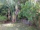 Photo - 349 Mills Avenue, Frenchville QLD 4701 - Image 13