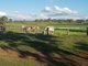 Photo - 349 Mount Kent Boundary Road, Nobby QLD 4360 - Image 21