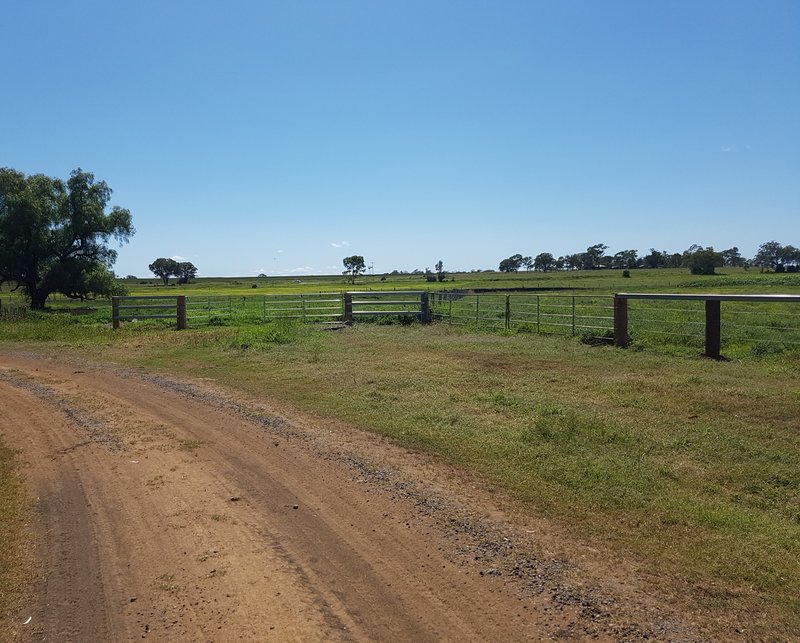 Photo - 349 Mount Kent Boundary Road, Nobby QLD 4360 - Image 24