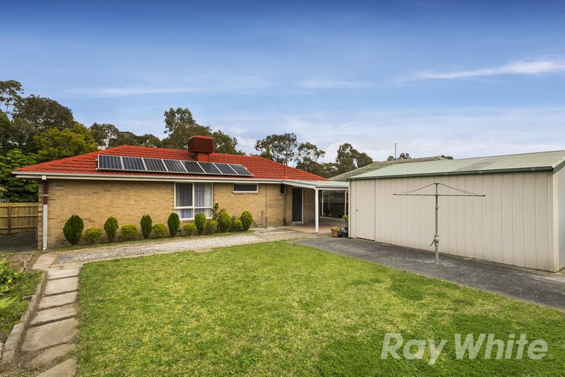 Photo - 349 Wellington Road, Mulgrave VIC 3170 - Image 9