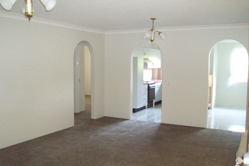 Photo - 3/497 Creek Road, Mount Gravatt QLD 4122 - Image 5