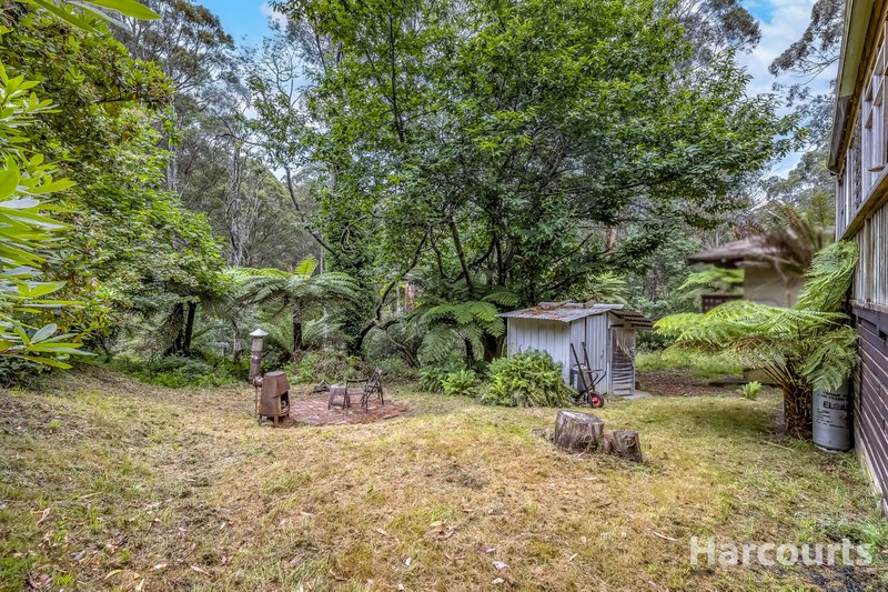 Photo - 3498 Mt Baw Baw Tourist Road, Tanjil Bren VIC 3833 - Image 9