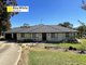 Photo - 35-37 Eagle Street, Gundagai NSW 2722 - Image 1