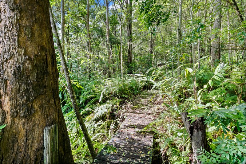 Photo - 35-37 Pathara Road , North Arm QLD 4561 - Image 4