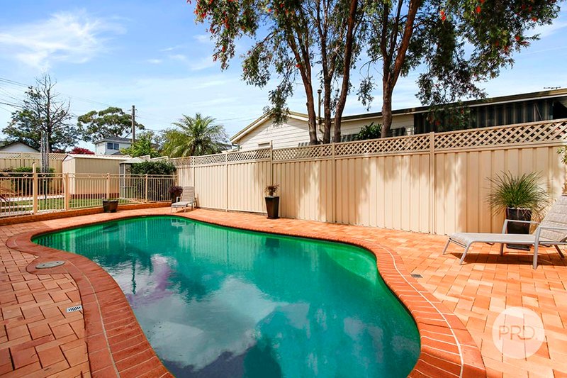 Photo - 35 Balmoral Road, Mortdale NSW 2223 - Image 17