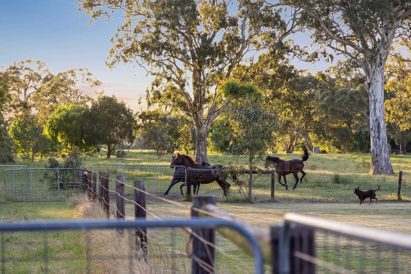 Photo - 35 Battunga Road, Meadows SA 5201 - Image 25