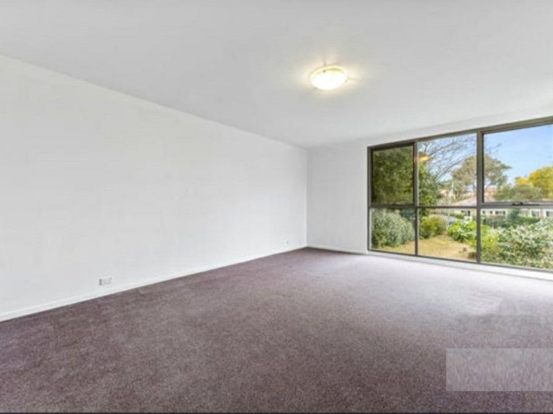 Photo - 35 Birdwood Avenue, Killara NSW 2071 - Image 3