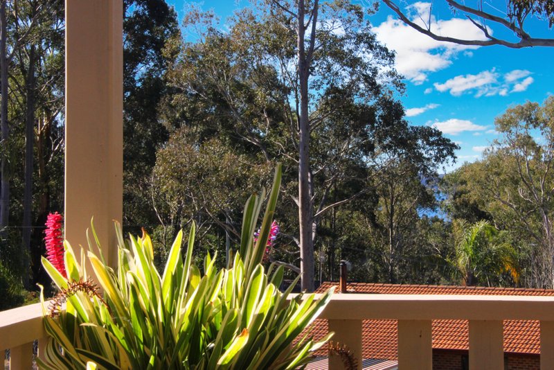 Photo - 35 Calga Crescent, Catalina NSW 2536 - Image 15