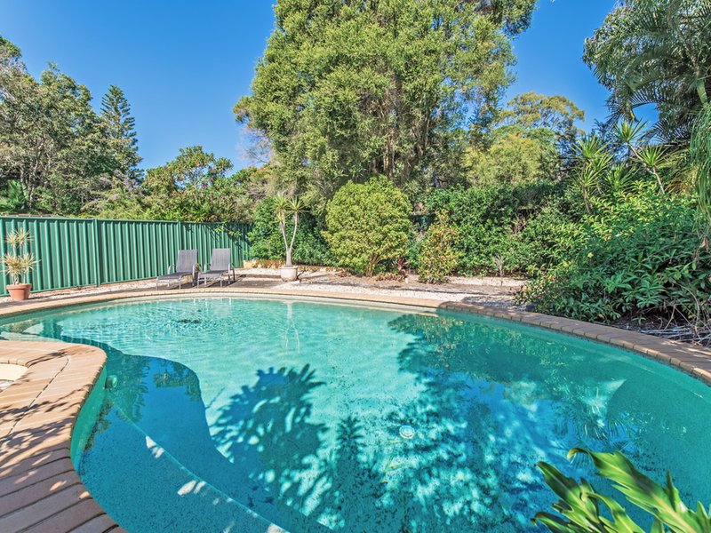 Photo - 35 Cooroy-Noosa Road, Tewantin QLD 4565 - Image 4