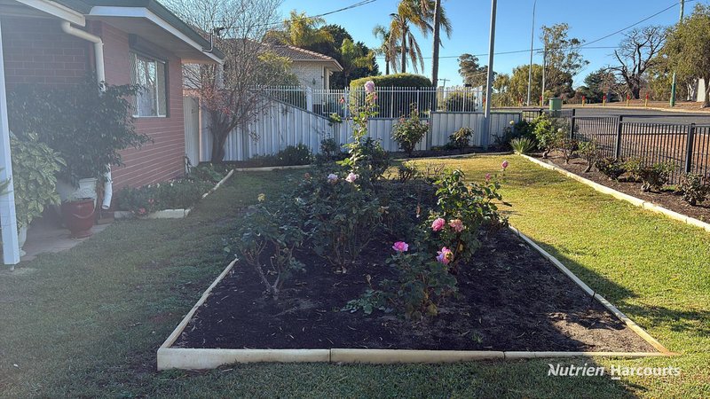 Photo - 35 Fox Street, Narrogin WA 6312 - Image 8