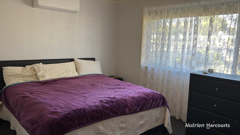 Photo - 35 Fox Street, Narrogin WA 6312 - Image 13
