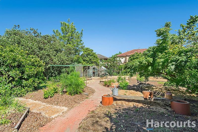 Photo - 35 Jordan Grove, Glen Waverley VIC 3150 - Image 8