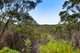 Photo - 35 Landscape Road, Woodford NSW 2778 - Image 11