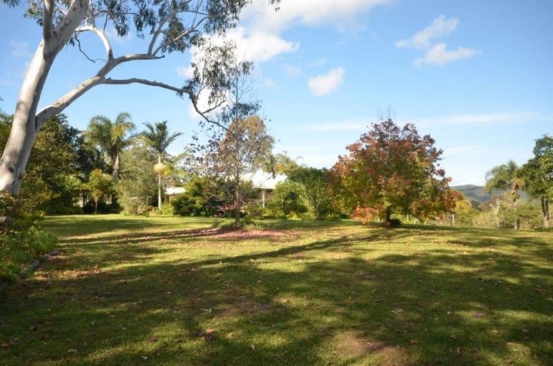 Photo - 35 Lantana Road, Wauchope NSW 2446 - Image 2