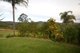 Photo - 35 Lantana Road, Wauchope NSW 2446 - Image 14