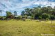 Photo - 35 Mahers Road, Cooran QLD 4569 - Image 14