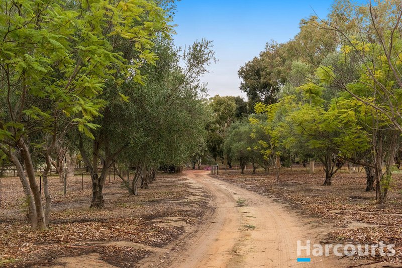 Photo - 35 Murray Grey Circle, Lower Chittering WA 6084 - Image 33