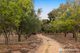 Photo - 35 Murray Grey Circle, Lower Chittering WA 6084 - Image 33