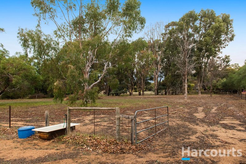 Photo - 35 Murray Grey Circle, Lower Chittering WA 6084 - Image 35