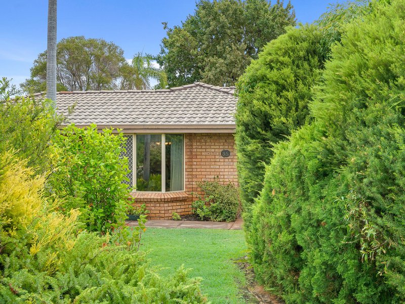 Photo - 35 Newgate Street, Alexander Heights WA 6064 - Image 7