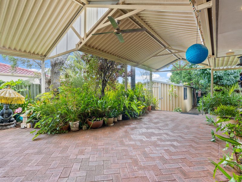 Photo - 35 Newgate Street, Alexander Heights WA 6064 - Image 32