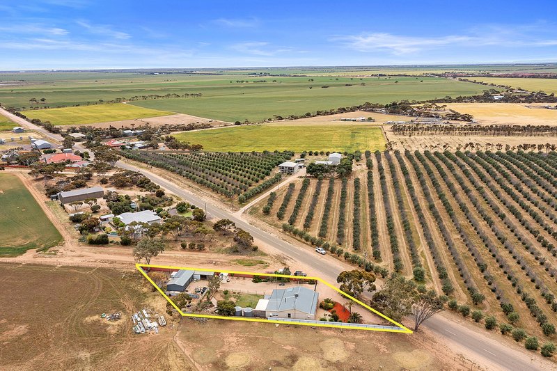 Photo - 35 Old Wallaroo Road, Moonta SA 5558 - Image 5