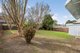 Photo - 35 Orlando Crescent, Seven Hills NSW 2147 - Image 6