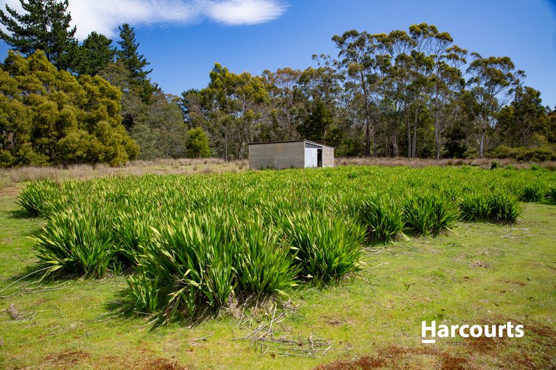 Photo - 35 Possum Road, Beaconsfield TAS 7270 - Image 11