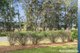 Photo - 35 Rackham Crescent, Burrill Lake NSW 2539 - Image 3