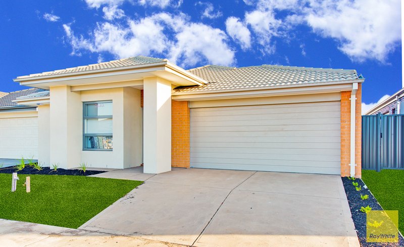 Photo - 35 Rapa Drive, Tarneit VIC 3029 - Image 3