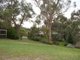 Photo - 35 Rosehill Road, Lower Plenty VIC 3093 - Image 13