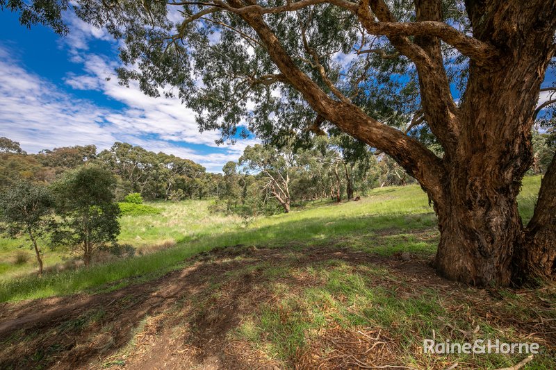 Photo - 35 Spavin Drive, Sunbury VIC 3429 - Image 6