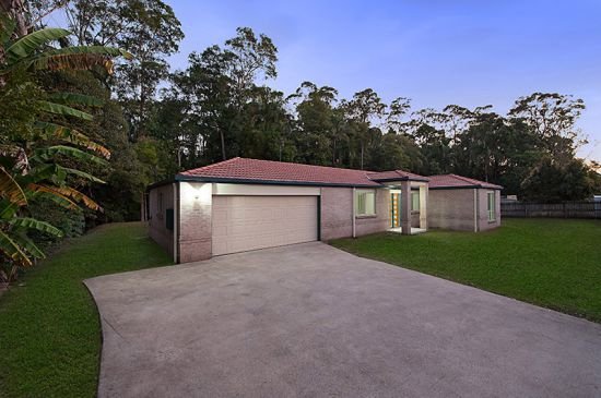 Photo - 35 Stanley Street, Palmwoods QLD 4555 - Image 12