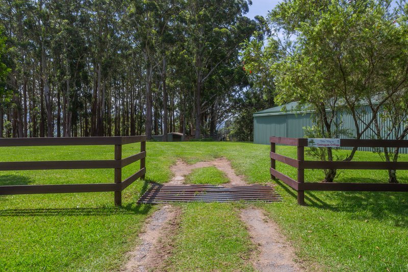 Photo - 35 Toolijooa Road, Berry NSW 2535 - Image 32