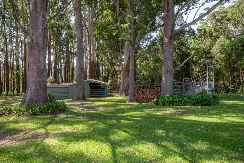 Photo - 35 Toolijooa Road, Berry NSW 2535 - Image 35