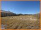 Photo - 35 Tourmaline Circuit, Mango Hill QLD 4509 - Image 1