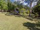 Photo - 35 Uplands Ct , Tallai QLD 4213 - Image 5