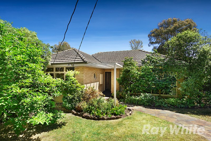 Photo - 35 Wave Avenue, Mount Waverley VIC 3149 - Image 2