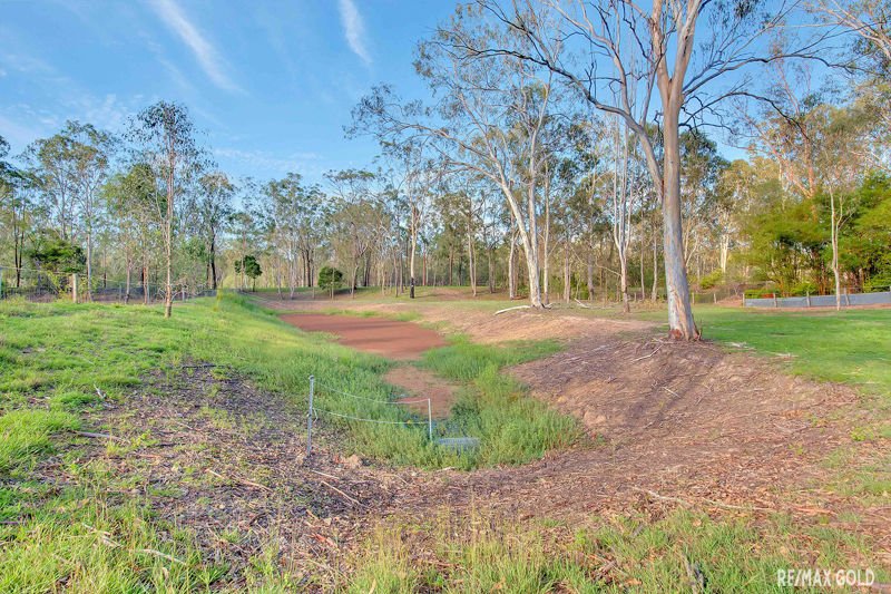 Photo - 35 Williams Road, Burua QLD 4680 - Image 11