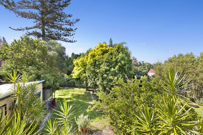 Photo - 35 Wilson Street, Freshwater NSW 2096 - Image 3