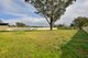 Photo - 35 York Street, Tahmoor NSW 2573 - Image 5