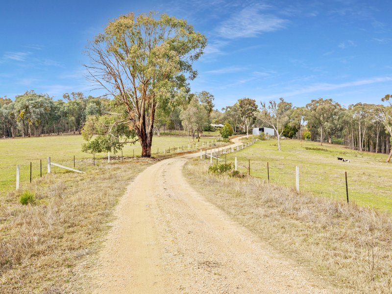 Photo - 350 Lake Buffalo-Whitfield Road, Whitfield VIC 3733 - Image 2