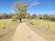 Photo - 350 Lake Buffalo-Whitfield Road, Whitfield VIC 3733 - Image 2