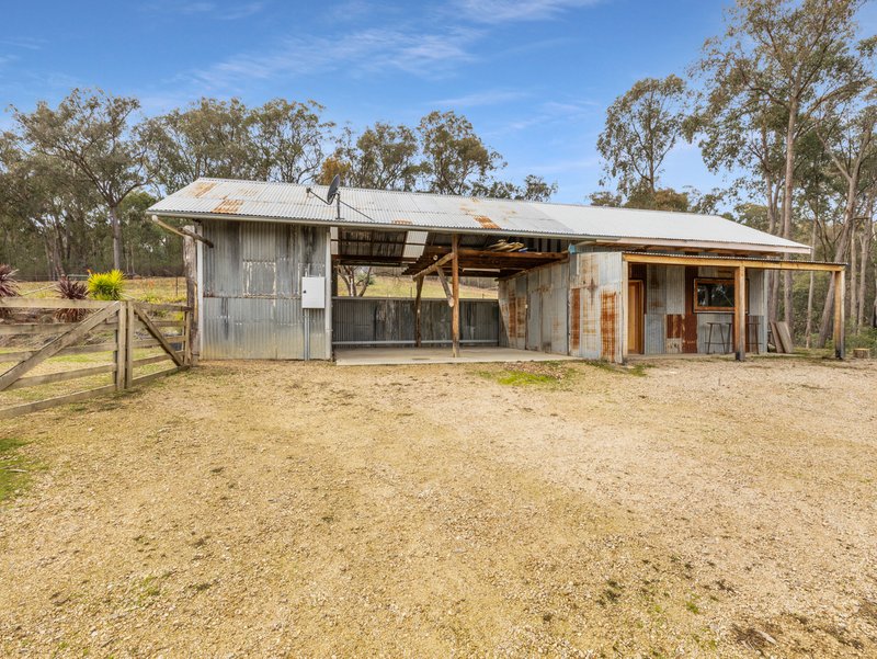 Photo - 350 Lake Buffalo-Whitfield Road, Whitfield VIC 3733 - Image 16