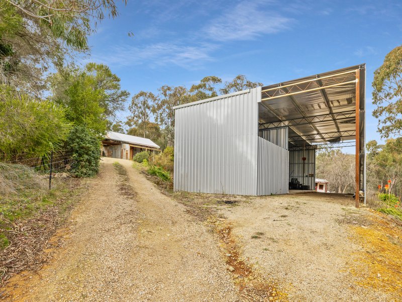 Photo - 350 Lake Buffalo-Whitfield Road, Whitfield VIC 3733 - Image 17